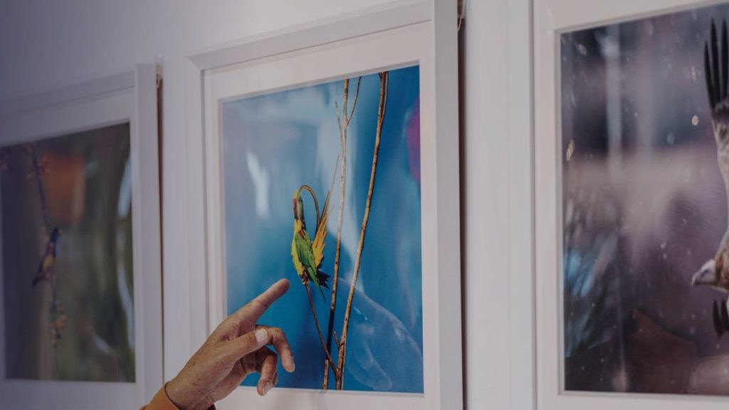 Un visiteur montre du doigt une photographie encadrée lors d’un vernissage